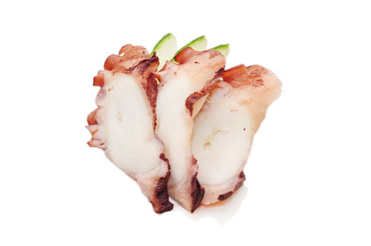 SA6.Tako (poulpe)