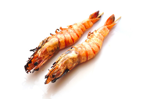BR9.Ebi (gambas)